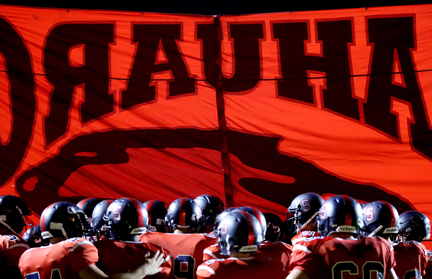 Sabino vs Sahuaro